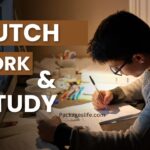 Hutch Work and Study Plans in Sri Lanka
